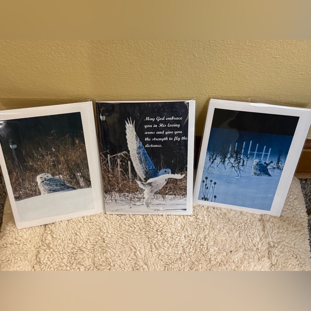 Snowy Owl Art Greeting Card Set of 3 - White and Blue